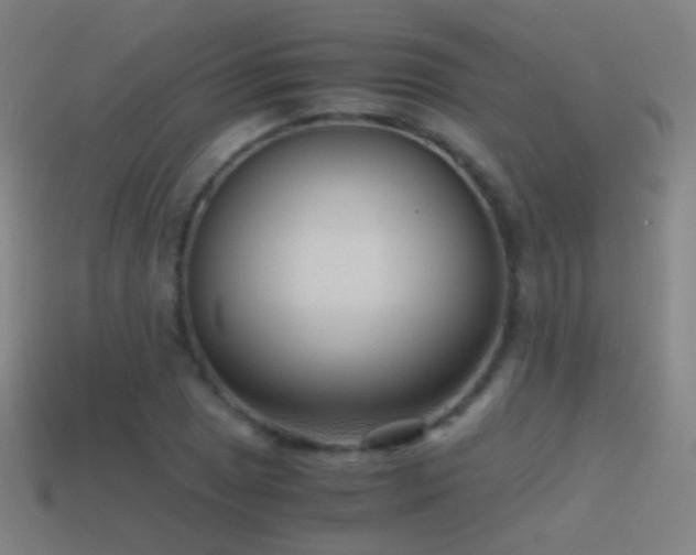X0000114411025200910161201