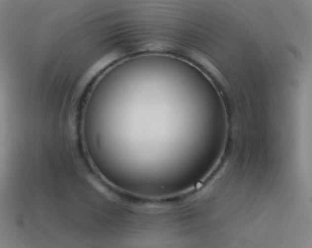 X0000114411026200910161201
