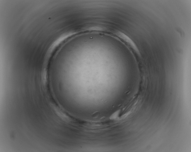 X0000114411027200910161201