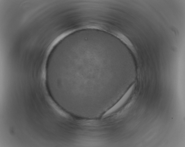 X0000114411028200910161201