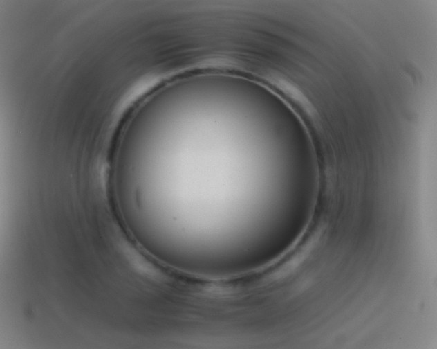 X0000114411029200910161201