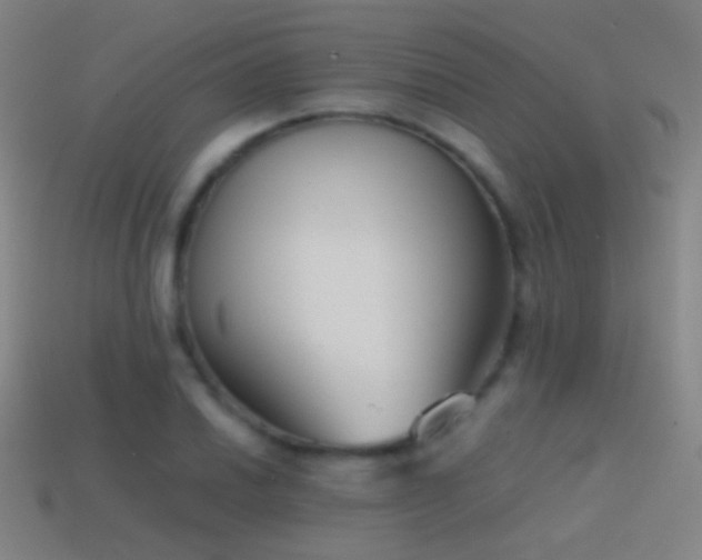 X0000114411030200910161201