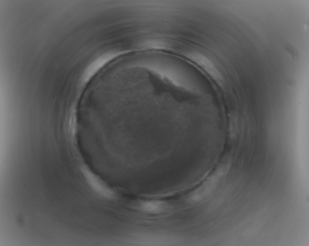 X0000114411031200910161201