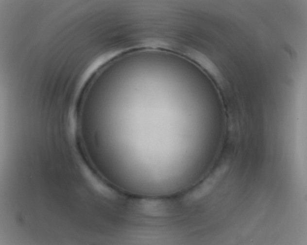 X0000114411032200910161201