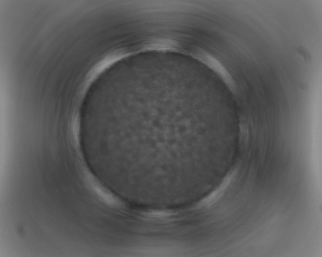 X0000114411035200910161202