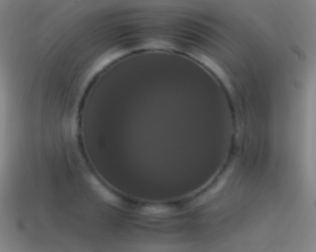 X0000114411037200910161202