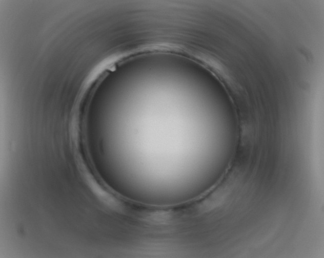 X0000114411038200910161202