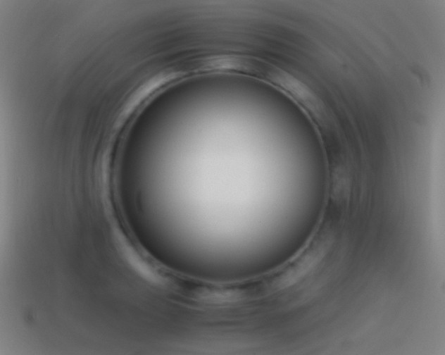 X0000114411039200910161202
