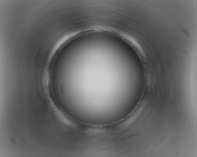 X0000114411040200910161202