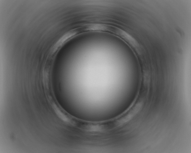 X0000114411041200910161202