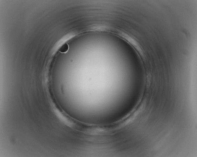 X0000114411042200910161202