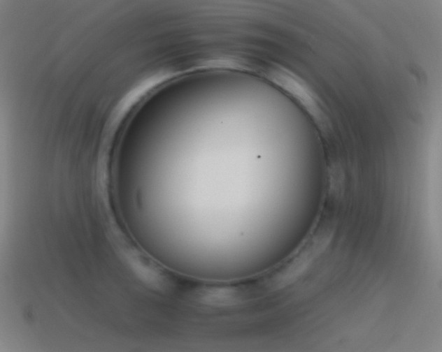 X0000114411043200910161202