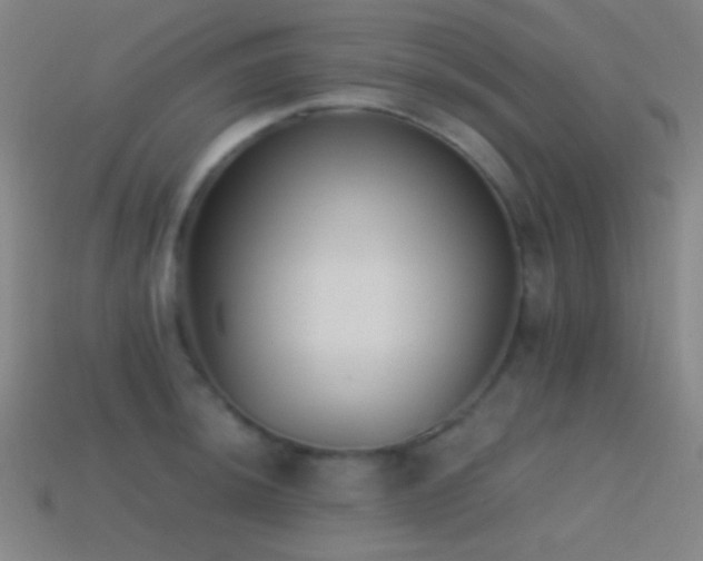 X0000114411044200910161202