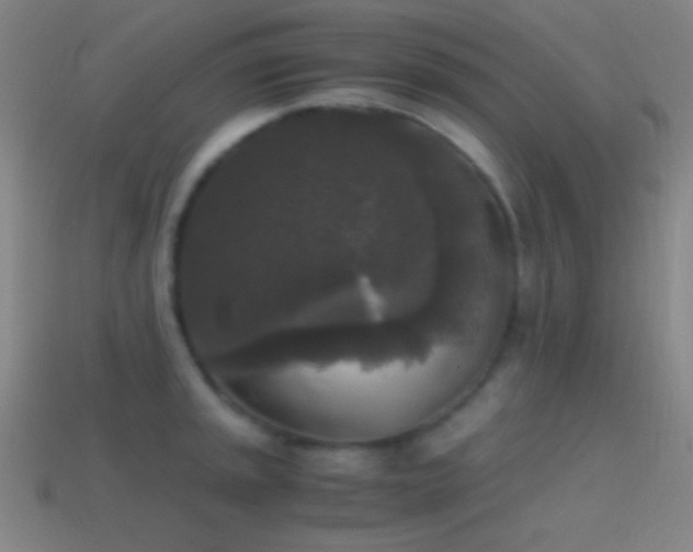 X0000114411045200910161202