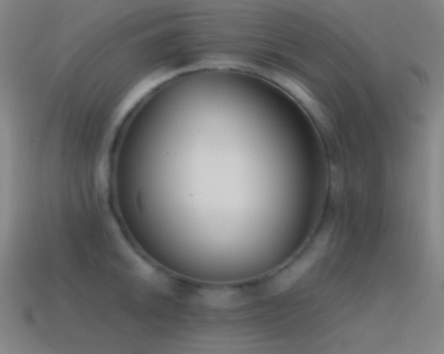 X0000114411046200910161202
