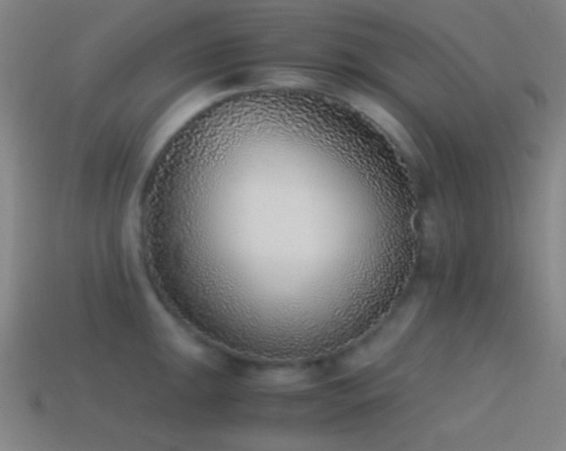 X0000114411047200910161202