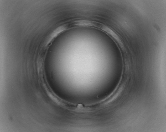 X0000114411049200910161202
