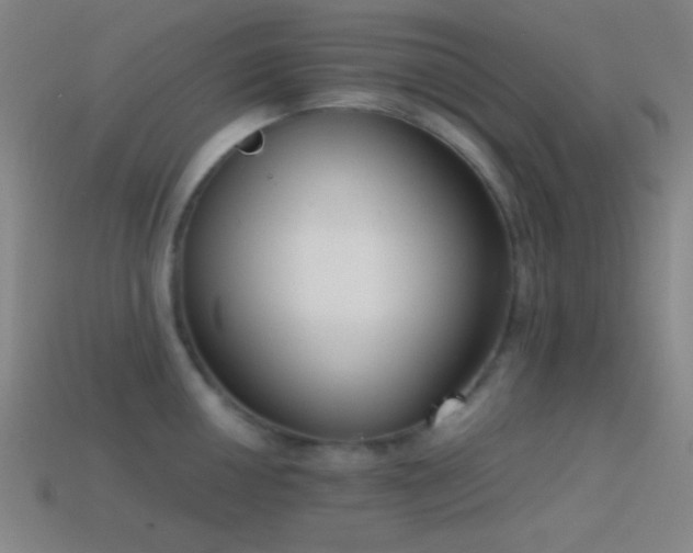 X0000114411050200910161202