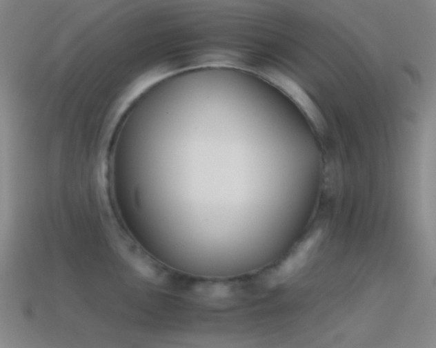 X0000114411051200910161202