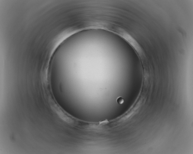 X0000114411052200910161202