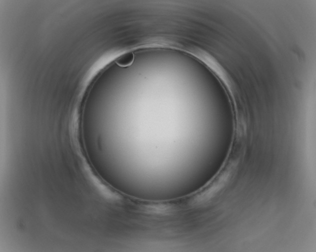 X0000114411053200910161202