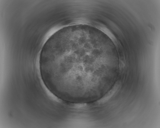 X0000114411055200910161202