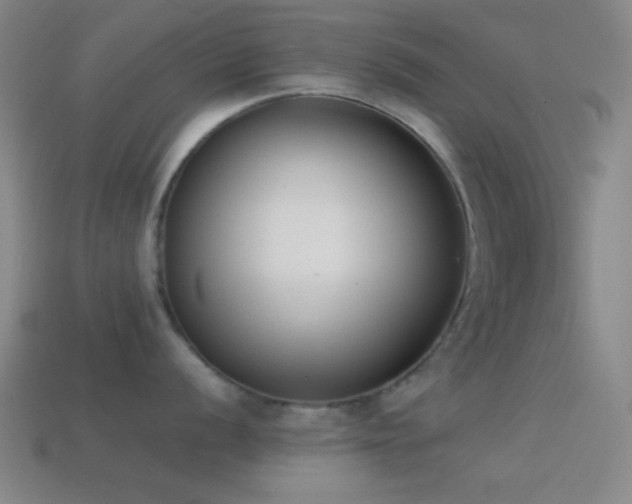 X0000114411056200910161202