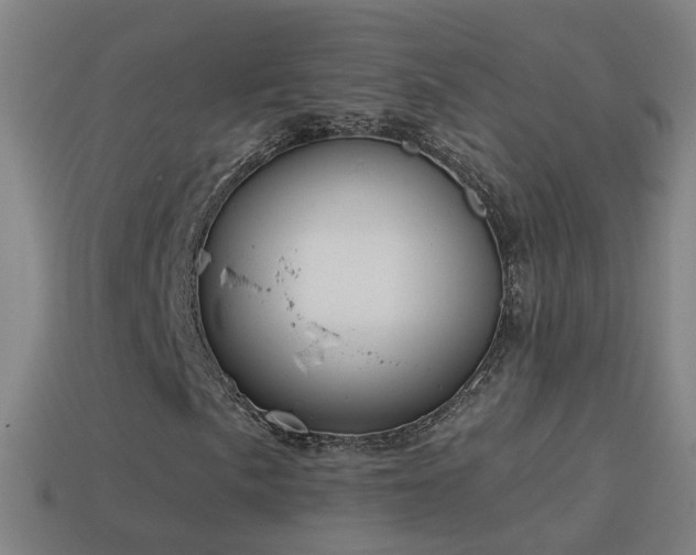 X0000114411057200910161201
