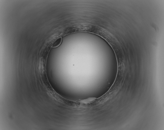X0000114411058200910161201