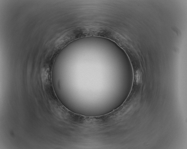 X0000114411059200910161201