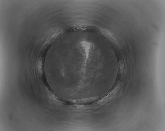 X0000114411060200910161201