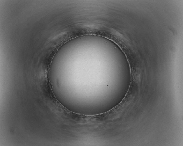 X0000114411061200910161201