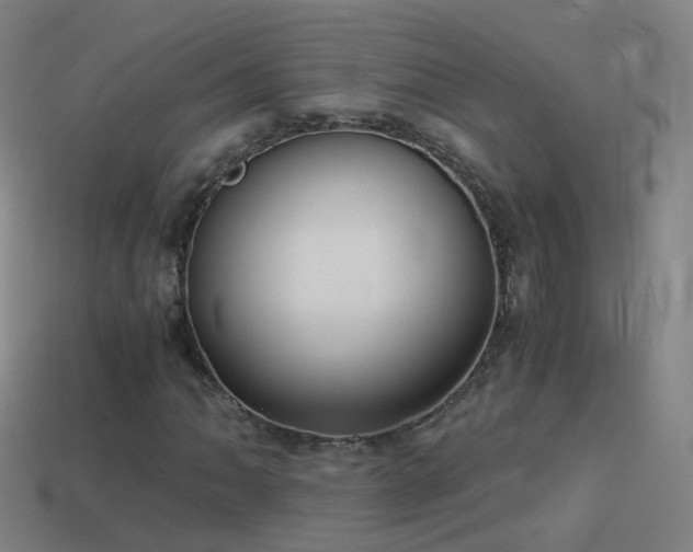 X0000114411062200910161201