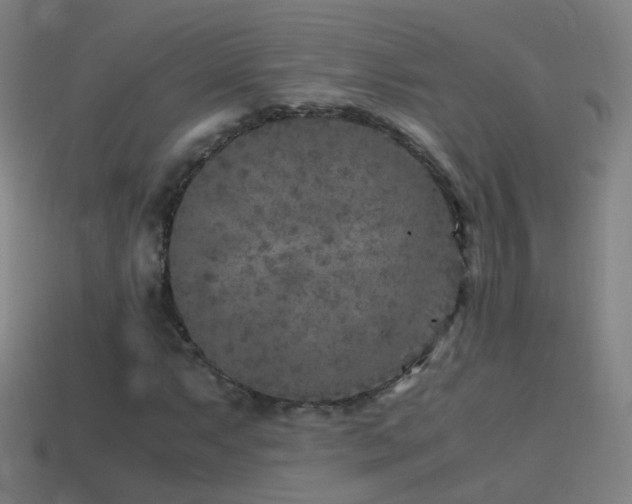 X0000114411063200910161201