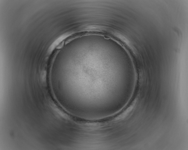 X0000114411066200910161201