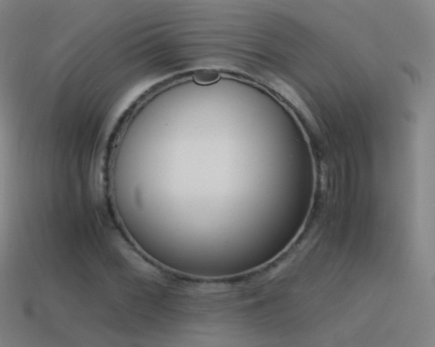 X0000114411068200910161201