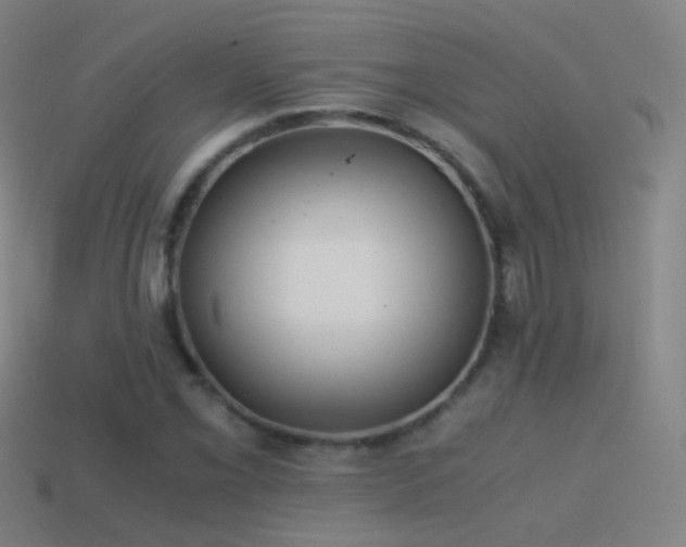 X0000114411069200910161201