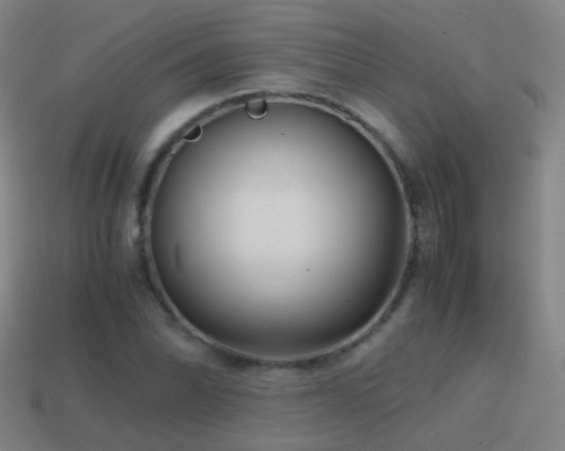 X0000114411070200910161201