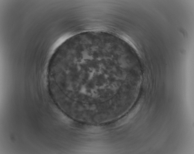 X0000114411071200910161201