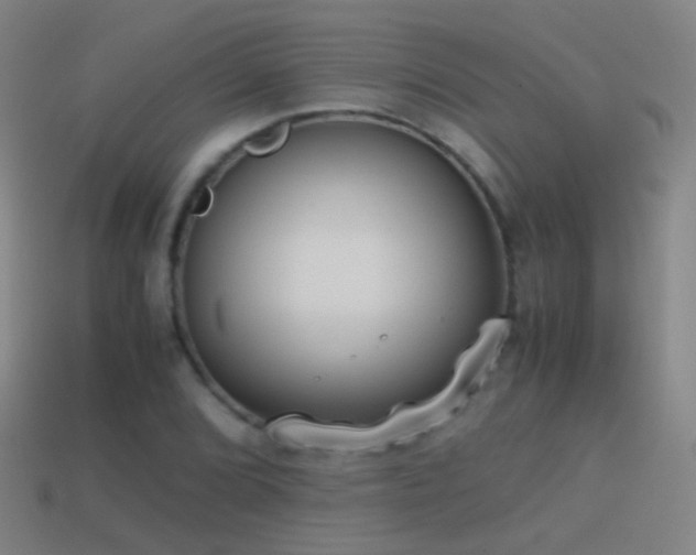 X0000114411072200910161201