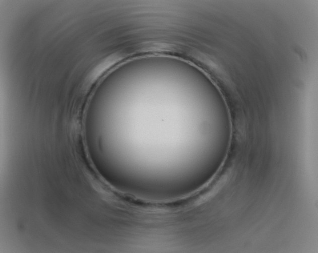 X0000114411073200910161201