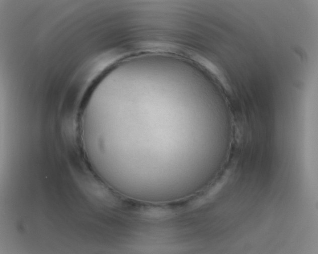 X0000114411074200910161201