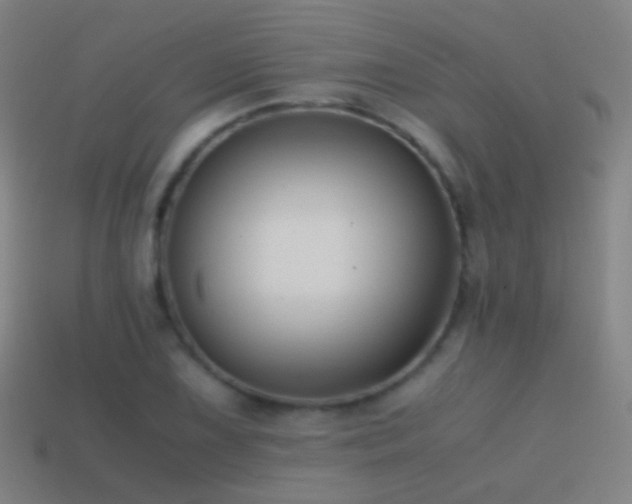 X0000114411075200910161201
