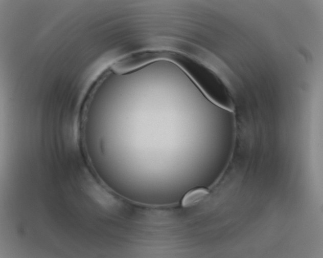 X0000114411076200910161201