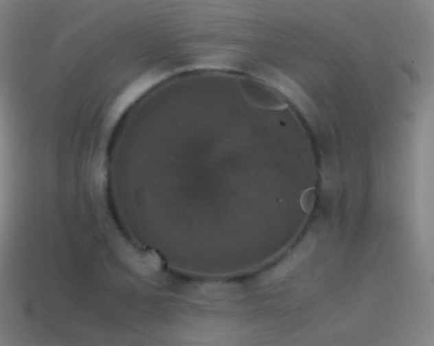 X0000114411077200910161201