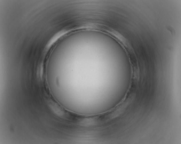 X0000114411078200910161201