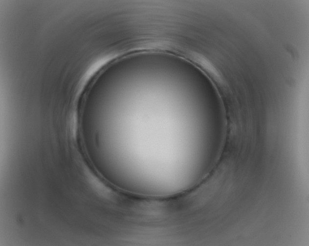 X0000114411079200910161201