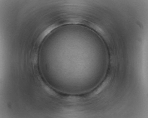 X0000114411081200910161201