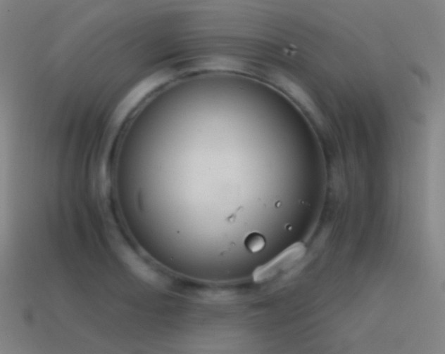 X0000114411082200910161201