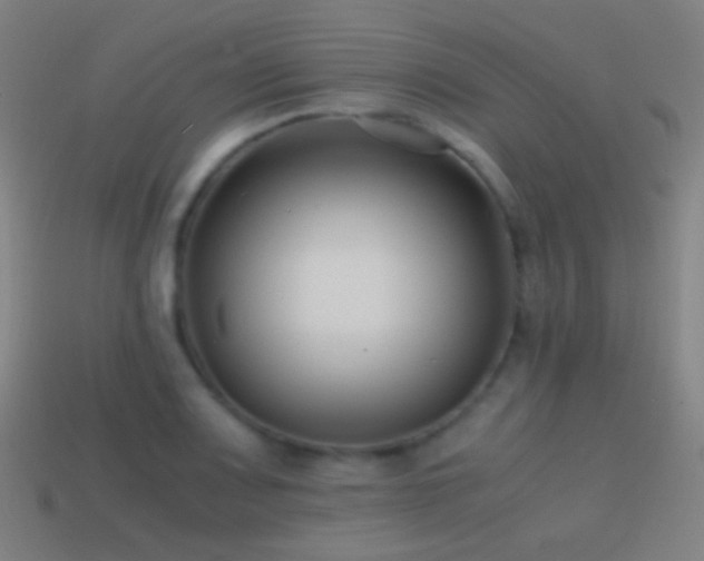 X0000114411083200910161201